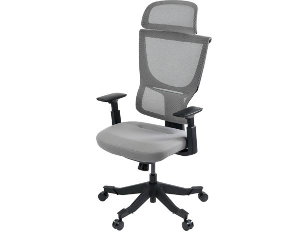 Flexispot Flexi chair BS8
