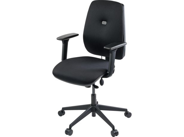 Posturite Homeworker Plus